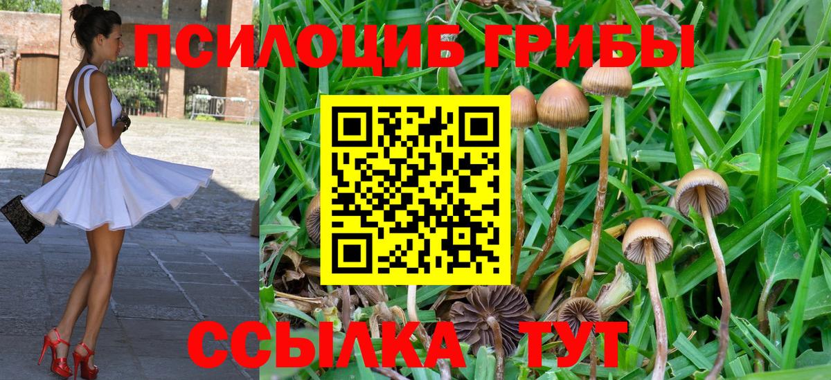 Галлюциногенные грибы мицелий Саратов