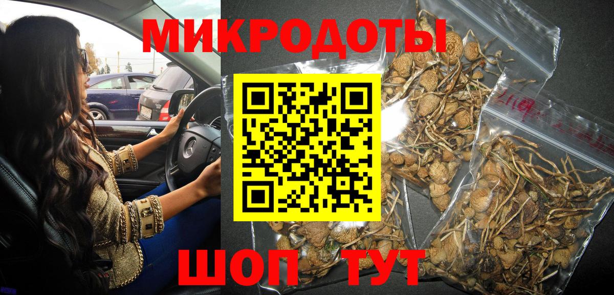 что такое наркотик  Псилоцибиновые грибы Magic Shrooms  Вход с VPN  Саратов 